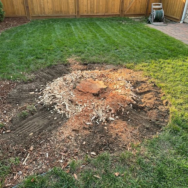Clean yard after stump removal